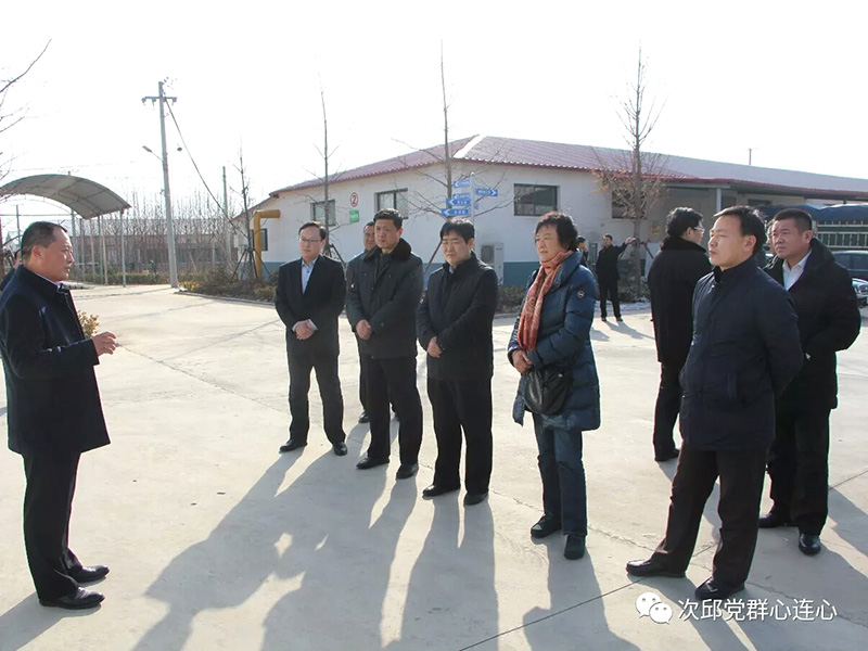 市政協(xié)原副主席、民建市委原主委牛惠蘭，市人大常委、民建市委副主委周中穩(wěn)一行到我公司調(diào)研蘆花雞養(yǎng)殖發(fā)展情況